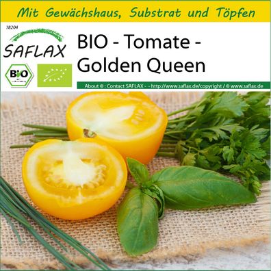 SAFLAX Anzucht Set - BIO - Tomate - Golden Queen - Solanum - 15 Samen