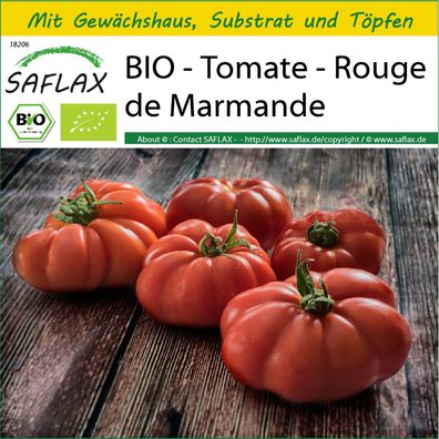 SAFLAX Anzucht Set - BIO - Tomate - Rouge de Marmande - Solanum - 10 Samen