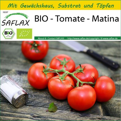 SAFLAX Anzucht Set - BIO - Tomate - Matina - Solanum - 10 Samen