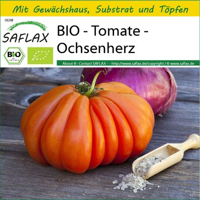 SAFLAX Anzucht Set - BIO - Tomate - Ochsenherz - Solanum - 10 Samen