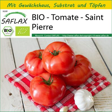 SAFLAX Anzucht Set - BIO - Tomate - Saint Pierre - Solanum - 15 Samen