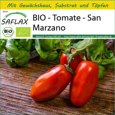SAFLAX Anzucht Set - BIO - Tomate - San Marzano - Solanum - 15 Samen