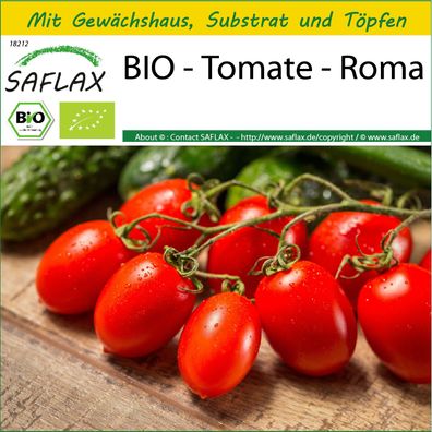 SAFLAX Anzucht Set - BIO - Tomate - Roma - Solanum - 15 Samen