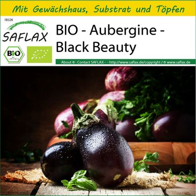 SAFLAX Anzucht Set - BIO - Aubergine - Black Beauty - Solanum - 25 Samen