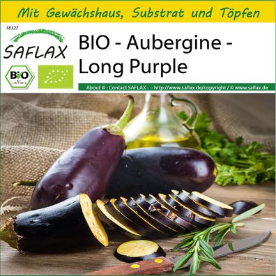 SAFLAX Anzucht Set - BIO - Aubergine - Long Purple - Solanum - 20 Samen