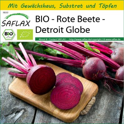 SAFLAX Anzucht Set - BIO - Rote Beete - Detroit Globe - Beta - 100 Samen