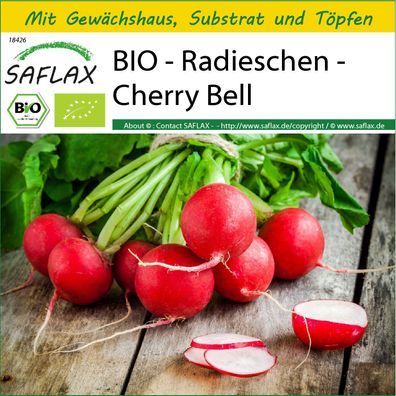 SAFLAX Anzucht Set - BIO - Radieschen - Cherry Bell - Raphanus - 100 Samen