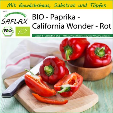 SAFLAX Anzucht Set - BIO - Paprika - California Wonder - Rot - Capsicum - 20 Samen