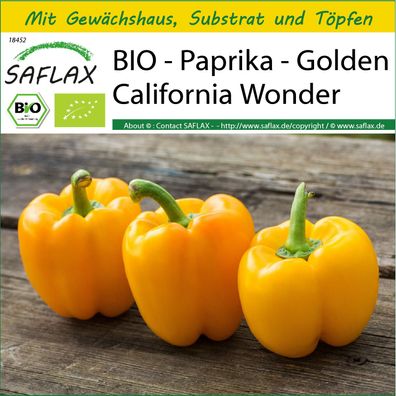 SAFLAX Anzucht Set - BIO - Paprika - Golden California Wonder - Capsicum - 20 Samen
