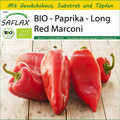 SAFLAX Anzucht Set - BIO - Paprika - Long Red Marconi - Capsicum - 20 Samen