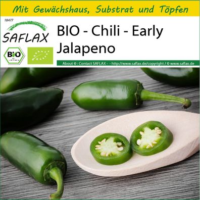 SAFLAX Anzucht Set - BIO - Chili - Early Jalapeno - Capsicum - 20 Samen