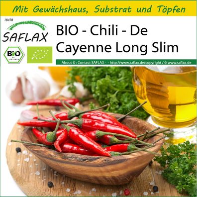 SAFLAX Anzucht Set - BIO - Chili - De Cayenne Long Slim - Capsicum - 10 Samen