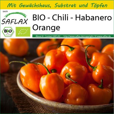 SAFLAX Anzucht Set - BIO - Chili - Habanero Orange - Capsicum - 20 Samen