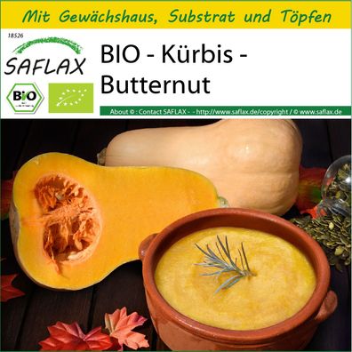 SAFLAX Anzucht Set - BIO - Kürbis - Butternut - Cucurbita - 6 Samen