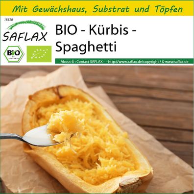 SAFLAX Anzucht Set - BIO - Kürbis - Spaghetti - Cucurbita - 5 Samen