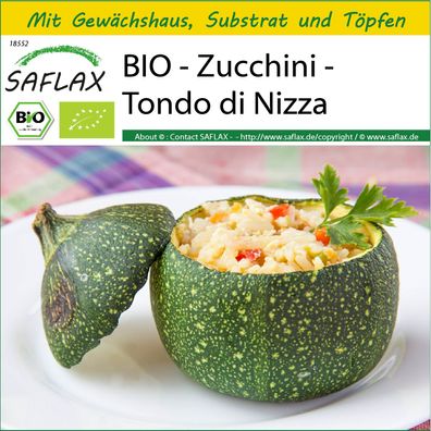 SAFLAX Anzucht Set - BIO - Zucchini - Tondo di Nizza - Cucurbita - 5 Samen