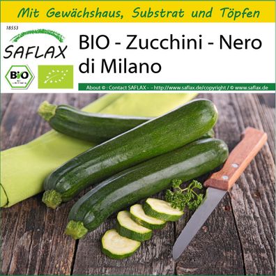 SAFLAX Anzucht Set - BIO - Zucchini - Nero di Milano - Cucurbita - 6 Samen