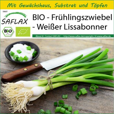 SAFLAX Anzucht Set - BIO - Frühlingszwiebel - Weißer Lissabonner - Allium - 150 Samen