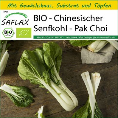 SAFLAX Anzucht Set - BIO - Chinesischer Senfkohl - Pak Choi - Brassica - 300 Samen