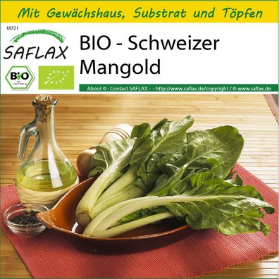 SAFLAX Anzucht Set - BIO - Schweizer Mangold - Beta - 150 Samen
