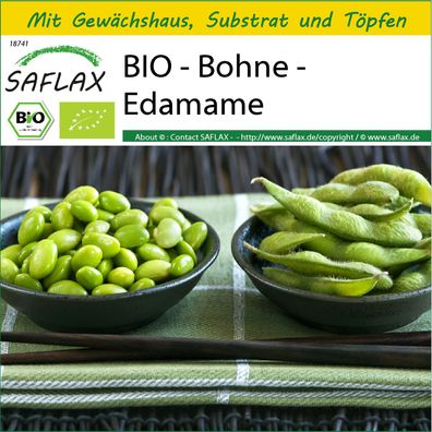 SAFLAX Anzucht Set - BIO - Bohne - Edamame - Glycine - 8 Samen