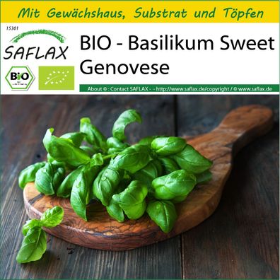 SAFLAX Anzucht Set - BIO - Basilikum Sweet Genovese - Ocimum - 800 Samen