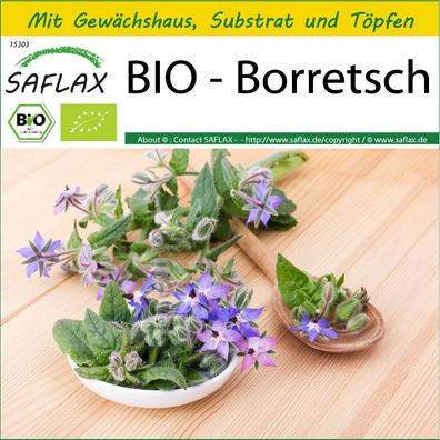 SAFLAX Anzucht Set - BIO - Borretsch - Borago - 40 Samen