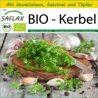 SAFLAX Anzucht Set - BIO - Kerbel - Anthriscus - 800 Samen