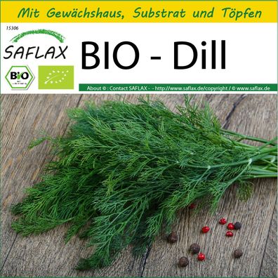 SAFLAX Anzucht Set - BIO - Dill - Anethum - 700 Samen