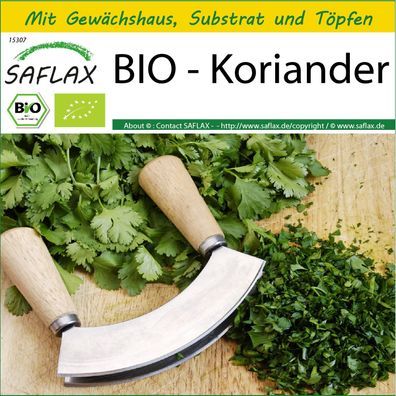 SAFLAX Anzucht Set - BIO - Koriander - Coriandrum - 150 Samen