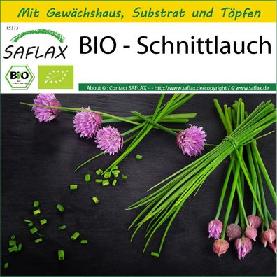 SAFLAX Anzucht Set - BIO - Schnittlauch - Allium - 250 Samen