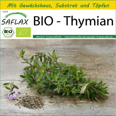 SAFLAX Anzucht Set - BIO - Thymian - Thymus - 800 Samen