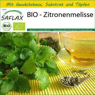 SAFLAX Anzucht Set - BIO - Zitronenmelisse - Melissa - 1000 Samen