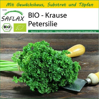 SAFLAX Anzucht Set - BIO - Krause Petersilie - Petroselinum - 800 Samen