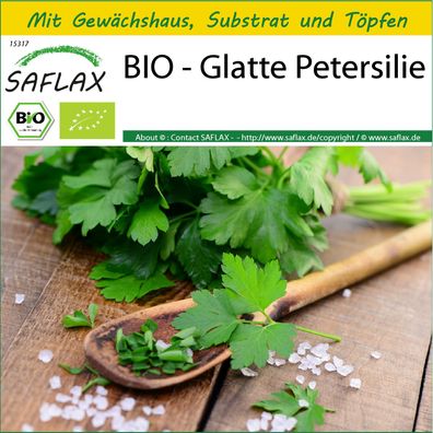 SAFLAX Anzucht Set - BIO - Glatte Petersilie - Petroselinum - 600 Samen