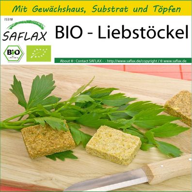 SAFLAX Anzucht Set - BIO - Liebstöckel - Levisticum - 100 Samen