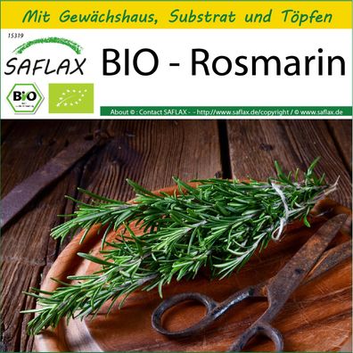 SAFLAX Anzucht Set - BIO - Rosmarin - Rosmarinus - 40 Samen