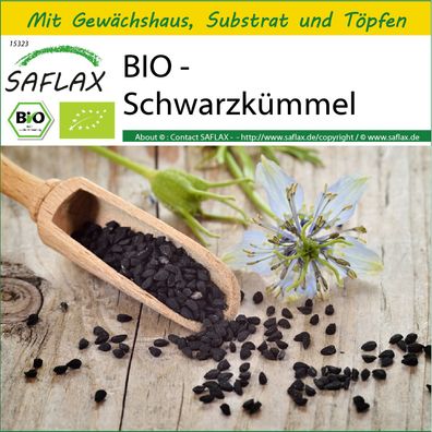 SAFLAX Anzucht Set - BIO - Schwarzkümmel - Nigella - 300 Samen