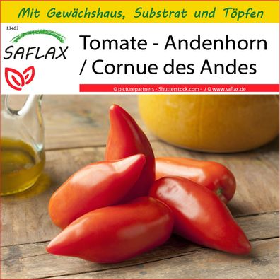 SAFLAX Anzucht Set - Tomate - Andenhorn / Cornue des Andes - Lycopersicon - 10 Samen