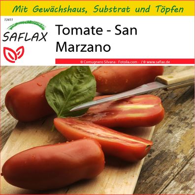 SAFLAX Anzucht Set - Tomate - San Marzano - Lycopersicon - 10 Samen