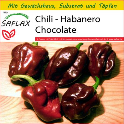 SAFLAX Anzucht Set - Chili - Habanero Chocolate - Capsicum - 10 Samen