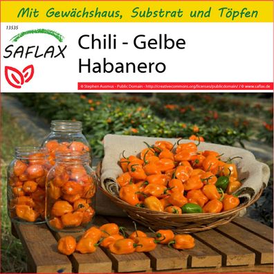 SAFLAX Anzucht Set - Chili - Gelbe Habanero - Capsicum - 10 Samen