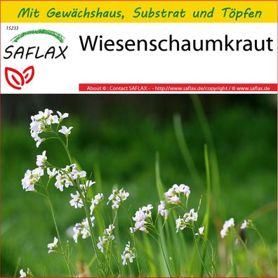 SAFLAX Anzucht Set - Wiesenschaumkraut - Cardamine - 100 Samen