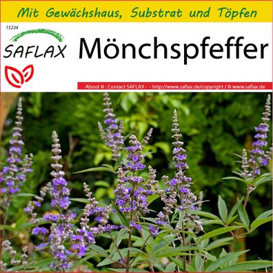 SAFLAX Anzucht Set - Mönchspfeffer - Vitex - 30 Samen