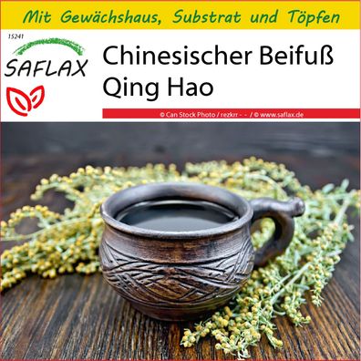 SAFLAX Anzucht Set - Chinesischer Beifuß Qing Hao - Artemisia - 250 Samen