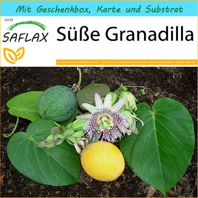 SAFLAX Geschenk Set - Süße Granadilla - Passiflora - 20 Samen