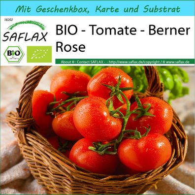 SAFLAX Geschenk Set - BIO - Tomate - Berner Rose - Solanum - 10 Samen