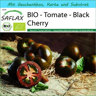 SAFLAX Geschenk Set - BIO - Tomate - Black Cherry - Solanum - 10 Samen