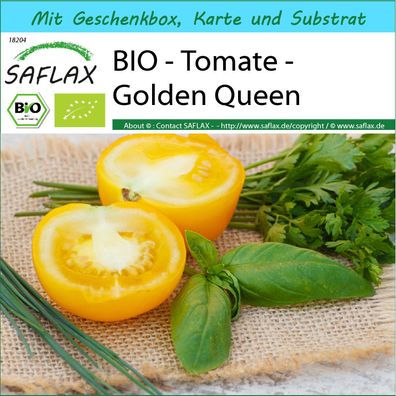 SAFLAX Geschenk Set - BIO - Tomate - Golden Queen - Solanum - 15 Samen