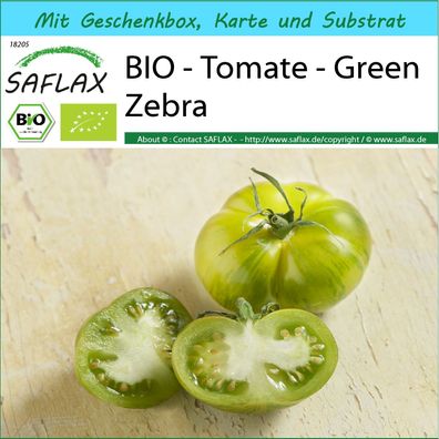 SAFLAX Geschenk Set - BIO - Tomate - Green Zebra - Solanum - 10 Samen